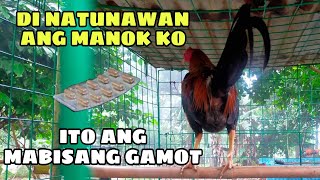 DI NATUNAWAN ANG MANOK KO ITO ANG MABISANG GAMOT  BALERIANS GAMEYARD [upl. by Eyllek275]