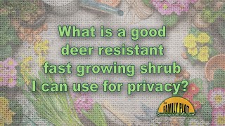 What is a deer resistant fastgrowing shrub for privacy [upl. by Leiru]