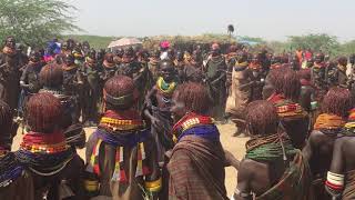 Nyangatom women dancing [upl. by Netsirhk]