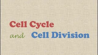 Cell Cycle and Cell Division [upl. by O'Kelly]