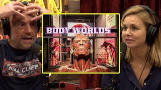 Body Worlds Exhibit Is Using Real Dead Bodies  Joe Rogan amp Mariana Van Zeller [upl. by Benoit]