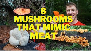 8 Wild Mushrooms that Mimic Meat [upl. by Nanreit405]