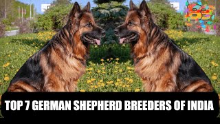 TOP 7 German Shepherd Breeders Of India [upl. by Quent]