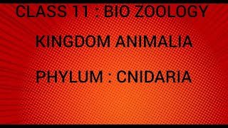 Phylum  Cnidaria  Kingdom Animalia  Class 11  Bio Zoology  Tamil [upl. by Ramyar51]