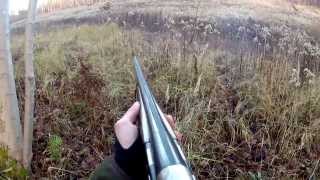 3 rådyr skudt med hagl  3 roe deer shot [upl. by Axia]