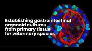 Lab Tutorial Cultivating Gastrointestinal Organoids [upl. by Michaud]