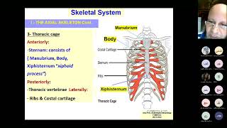 Lecture 2 Skeletal system july 2024 [upl. by Koal965]