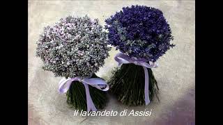 Bouquet sposa bouquet lavanda bouquets matrimonio e addobbi per eventi e cerimonie bouquet sposa [upl. by Rezeile]