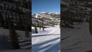 Downhill Skiing at Monarch Mountain in Colorado  Chapter 46 Shorts [upl. by Newman938]