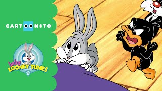 Baby Looney Tunes  Act Your Age  Cartoonito [upl. by Puri]