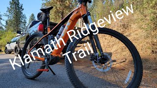 Trek Powerfly 4 and the Klamath Ridgeview Trail Review [upl. by Grega172]