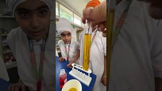 Grade 5 miscible and immiscible liquids [upl. by Edrea321]