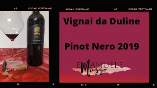 Degustazione Pinot Nero 2019 Vignai da Duline [upl. by Sedgewick608]