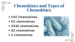 Chemokines and Types of Chemokines  Guyton Academy [upl. by Tamma]