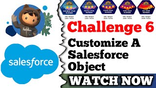 Customize a Salesforce Object  Salesforce Trailhead  Customize Record Pages  Challenge 6 [upl. by Jariah]