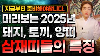 미리보는 2025년 을사년 삼재특집 2025년 삼재띠 돼지띠 토끼띠 양띠 삼재띠들의 특징 지금부터 준비하셔아합니다 알고 움직이면 복삼재 방치하면 많은걸 잃습니다 [upl. by Irved]