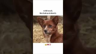 Enko bhi dard hota h sad saddog rispect dog doglover [upl. by Garbe126]