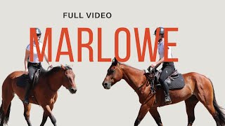 Marlowe  FULL VIDEO  Schoolmaster  Dream Horse [upl. by Ecneitap]