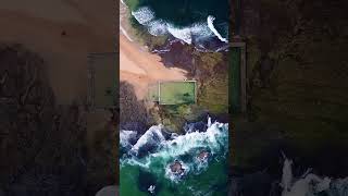 Mona Vale Rockpool [upl. by Auberon]