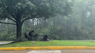 The Woodlands Texas Catches The Worst Of Hurricane Beryl 2024 [upl. by Gnehs]