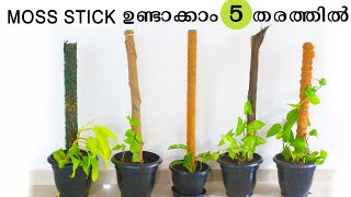 5 വിത്യസ്ത രീതിയിൽ എങ്ങനെ എളുപ്പത്തിൽ MOSS STICK ഉണ്ടാക്കാം  DIY MOSS STICK [upl. by Barbette]