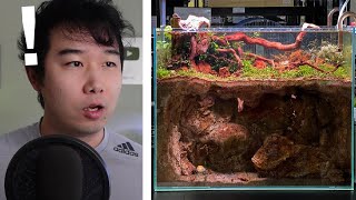 they made a CAVE system in their Fish Tank  Fish Tank Review 240 [upl. by Aronow665]