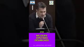 EL DIPUTADO NEUQUINO DE BOCA DOBLE SENTIDO DESUBICADO argentina milei viral shorts [upl. by Sadnak]