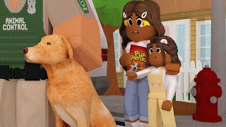 Our DOG IS GONE HIT BY CAR ANIMAL CONTROL Roblox Bloxburg Roleplay roleplay [upl. by Astera]