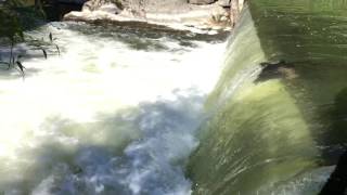 Dont go chasing waterfalls backwards waterfall slowmotion in Tumwater WA [upl. by Orteip]