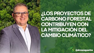 Proyectos de Carbono Forestal contribuyen a la MitigaciónClimática [upl. by Adnwahs]