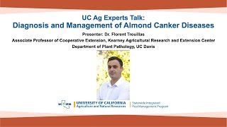 UC Ag Experts Talk Diagnosis and Management of Almond Canker Diseases [upl. by Goldin]