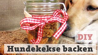 HUNDEKEKSE BACKEN  Thunfisch LECKERLI für HUND  KATZE selber backen DIY [upl. by Moskow]