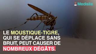 Piqûre de moustiquetigre  les symptômes à cerner en cas dallergie [upl. by Aniez]