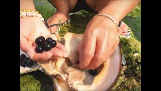 Miraculous underwater treasure The girl found precious pearls in a large clam in the river [upl. by Betthel]