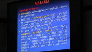 DrSahar  Parasitic Infections 3  Leishmaniasis [upl. by Kial741]