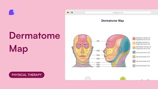 Dermatome map [upl. by Safire]