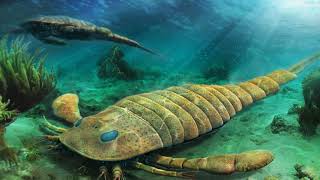 Eurypterids  The Sea Scorpions [upl. by Yntirb497]