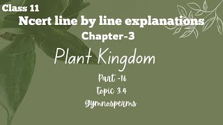 gymnosperms NCERT line by line explanation plant Kingdom [upl. by Allerbag]