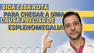 Fisiopatologia da hepatoesplenomegalia em cÃ£es e gatos [upl. by Isabel]