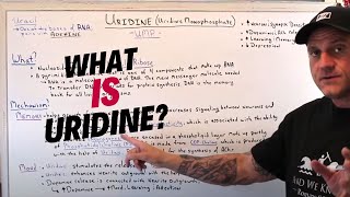 What Is Uridine and The Benefits [upl. by Karl]