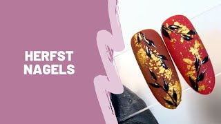 Herfst Nagels [upl. by Nelav551]