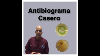 Como realizar un Antibiograma casero a un cultivo bacteriano [upl. by Joby170]