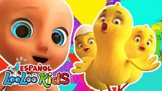 🐤🐥Los Pollitos Dicen Pio Pio  Skidamarink  Canciones Infantiles para niños [upl. by Ailimac]