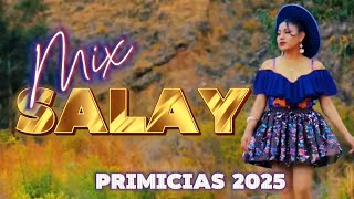 Mix Salay Primicias 2025 Cristhian Vidal Wili Rojas Alfredo Larico Y OTROS [upl. by Yerffoj]