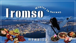 🇳🇴 3 DAYS in TROMSØ  Norway Vlog northern lights dog sledding amp eats  特罗姆瑟三日游 [upl. by Yousuf]