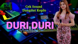 Cek Sound Dangdut Koplo Orgentunggal  Duri Duri [upl. by Selegna]