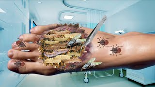 The Soothing Sounds of Lice RemovalLice Removal ASMR  Satisfying Animation [upl. by Spears]