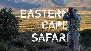 Cape Buffalo Safari and Tour in the Eastern Cape  SUN AFRICA SAFARIS [upl. by Adiaros496]