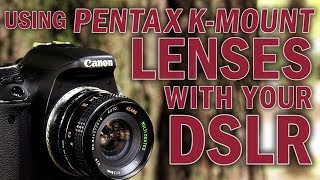 Mount Retro Pentax Kmount lenses on your DSLR with the Pentax KMount Lens Adapter from Fotodiox [upl. by Kellene482]