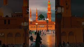 Bethy bethy meri hazri hogae fyp trendingshorts naat viralvideo youtubeshorts popular madina [upl. by Etneciv859]